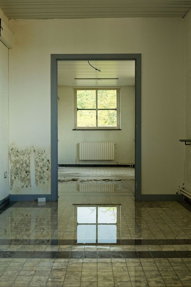 A room with mold growth on the walls and standing water on the floor